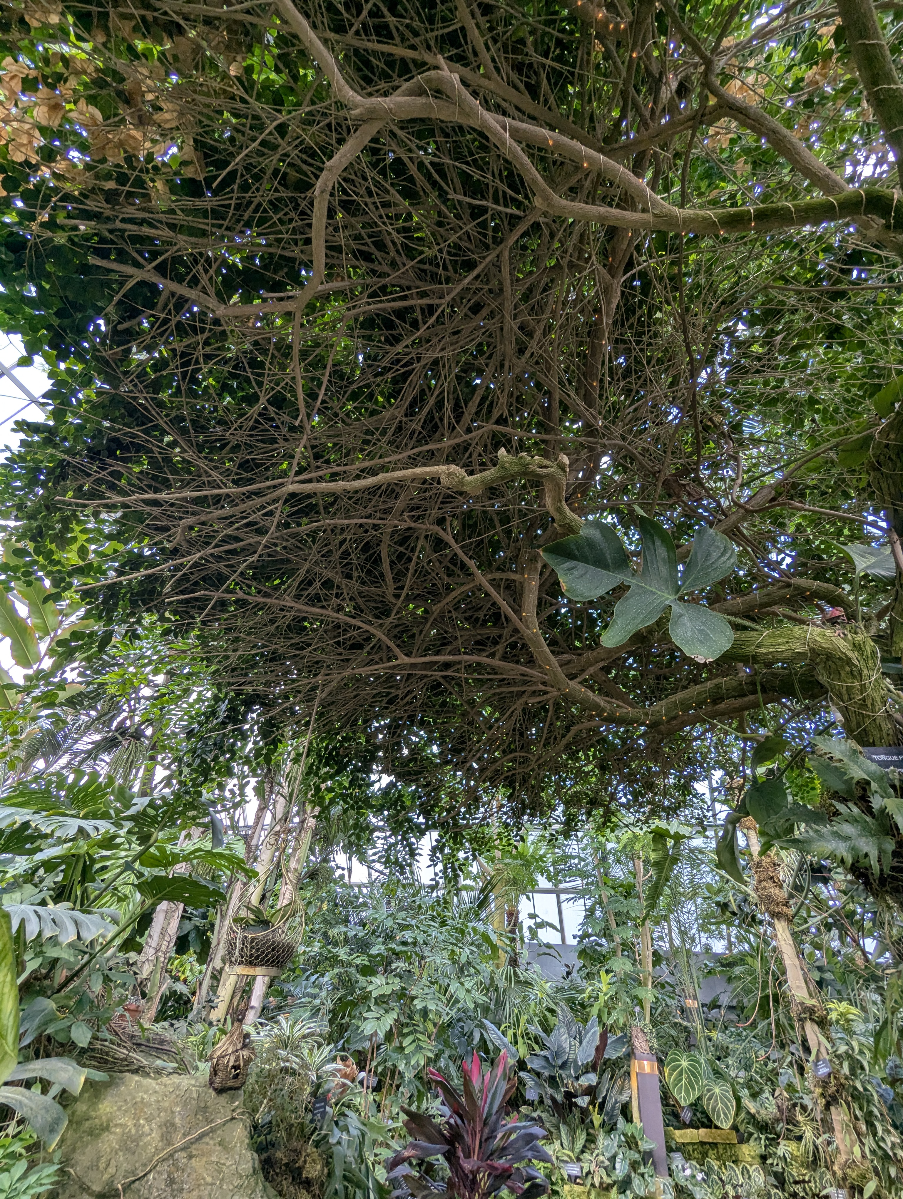 Birthday Trip to Canada, Edmonton, Pyramids, Muttart Observatory